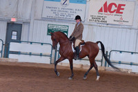 134 Arabian Hunter Pleasure Open