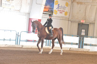 169 A/HA/AA Walk/Trot Hunter Championship 10 & Under