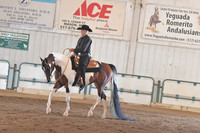 170 HA/AA Western Pleasure Champ. AATR