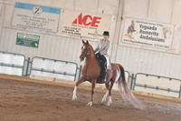 171 HA/AA Country Pleasure Champ. Open