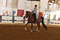 173 Arabian Country Pleasure Champ. Open