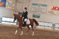 173A Arabian Sport Horse Under Saddle JTR Championship