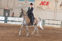 175 Saddle Seat Equitation Champ. JTR