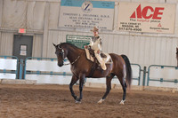 176 A/HA/AA Walk/Trot Western Champ. 10 & Under