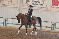 177 Arabian Western Pleasure Champ Open