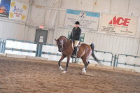 182 Arabian Hunter Pleasure Champ. OPEN