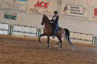 179 HA/AA Country Pleasure Champ. AATR
