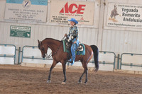 180 Arabian Western Pleasure Championship JTR