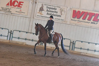 185 HA/AA  Hunter Pleasure Champ. AATR