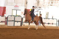 186 Arabian Country Pleasure Champ. JTR