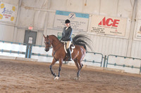 192 Arabian Hunter Pleasure Champ. AATR