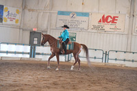 193 HA/AA Western Pleasure Champ JTR