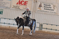 195 HA/AA Western Pleasure Champ. OPEN