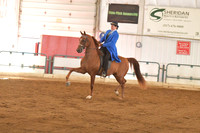 196 HA/AA English Pleasure ATR Championship