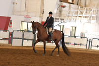 042 HA/AA Hunter Pleasure AATR 40 & Over