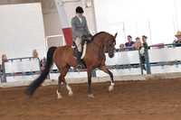 109 HA Hunter Pleasure Open