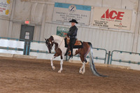 111 HA Western Pleasure ATR