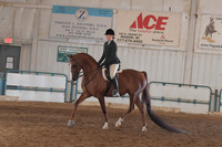 112 HA Hunter Pleasure JTR