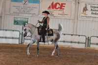 113 Arabian Western Pleasure AAOTR 19-39