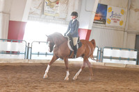 116 Arabian Hunter Pleasure JOTR 15-18