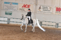 119 Arabian Show Hack ATR