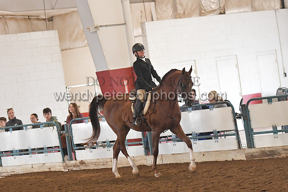 023_5258
