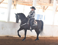 008 Morgan Western Pleasure Stake