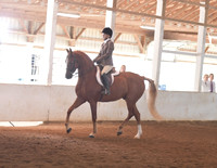 003 ASB Saddle & Bridle Hunt Seat Classic