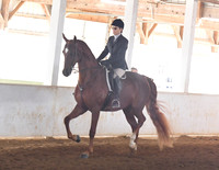 010 COB Open Hunt Seat Pleasure
