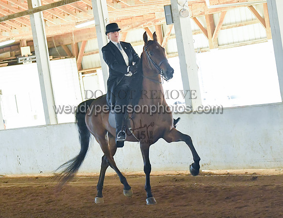 016_0013