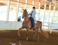 020 COB Open Saddle Seat Pleasure