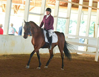 021.1 Sport Horse Under Saddle Open