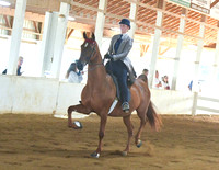 026 ASB 5 Gaited Show Pleasure Amateur