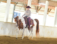 024 Arabian & Half Arabian Western Pleasure