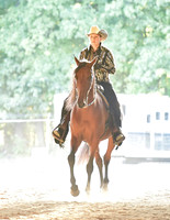 030 ASB Country Western Pleasure Open
