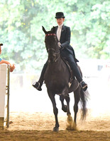 034 COB Saddle Seat Pleasure Jr Exhibitor