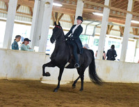 036 Equitation Saddle Seat 14-17