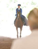 054 Arabian & Half-Anglo Arabian Ladies Side Saddle Open