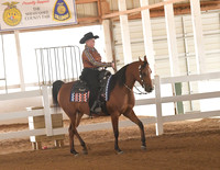 081 Arabian Western Pleasure Open