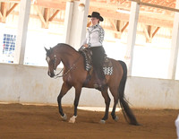 083 Arabian Western Pleasure JTR