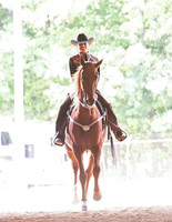 085 Saddlebred Country Western Pleasure William Shatner