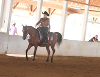 086 Arabian Western Pleasure ATR