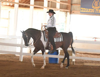 091 Half Arabian Western Pleasure JTR