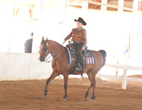 090 Arabian Western Pleasure Stake