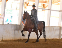 092 Equitation, Saddle Seat, 13 & Under