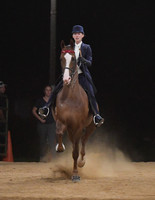 128 Saddlebred 5 Gaited Open Stake