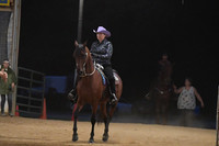 124 Saddlebred Country Western Pleasure Stake