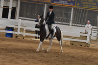 124 Walk Trot Challenge of the Breeds