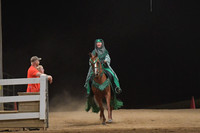 127 Arabian & Half Arabian Native Costume Open