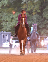 118 Challenge of the Breeds Open Saddle Seat Pleasure Stake
